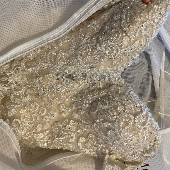 Wedding Dress- Sottero & Midgley - Picture 8 of 9